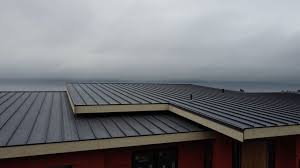 Best Roof Coating Services  in Freer, TX